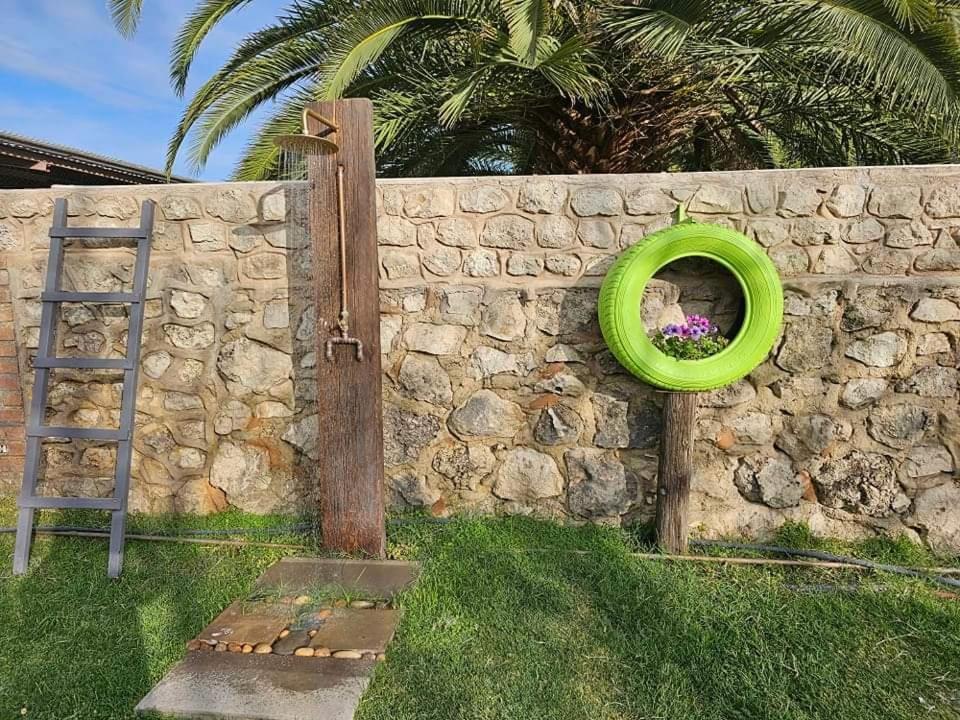 Tamboti Farm Accommodation Цумеб Экстерьер фото